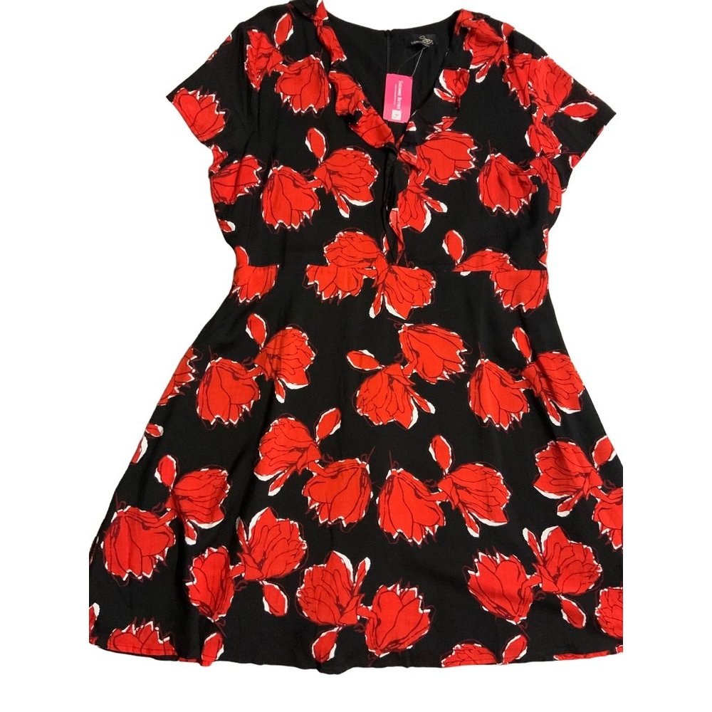 NWT Susan Betroffen Plus Size Dress Size 2X